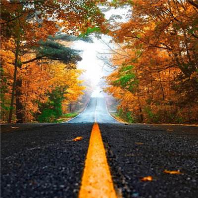 42982金牛网论坛