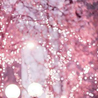 凤凰彩票最新版安卓版