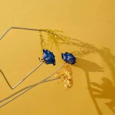 星空官方网站下载app